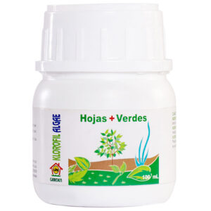Klorofil-algae-CBI-GARDEN