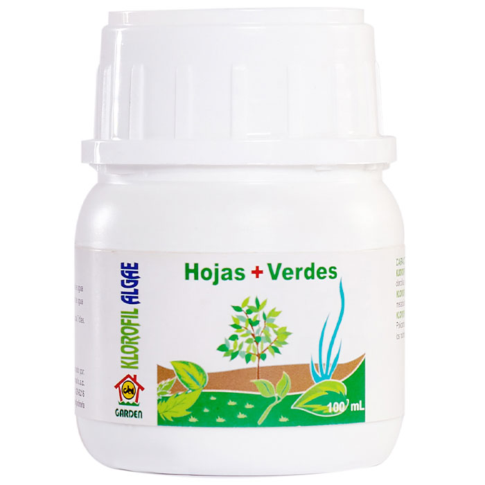 Klorofil-algae-CBI-GARDEN