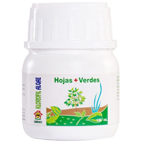 Klorofil-algae-CBI-GARDEN